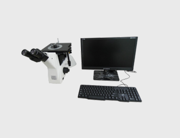 ������΢��